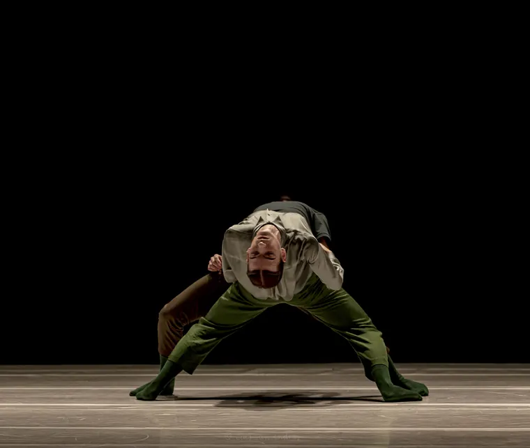 Thomas Noone Dance · Pavones, imagen 4